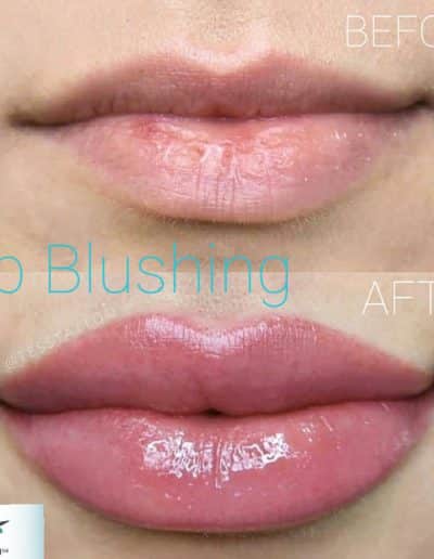 Julian-Reese-Spa-Lip-Blushing-O'Fallon-MO-Before-After-Examples-PMU