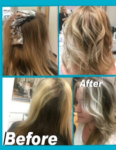 Julian-Reese-Spa-Hair-Color-Bayalage-Before-After-Examples